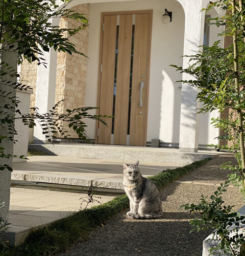 心地よい暮らしができる無添加の家はいかがでしょうか。