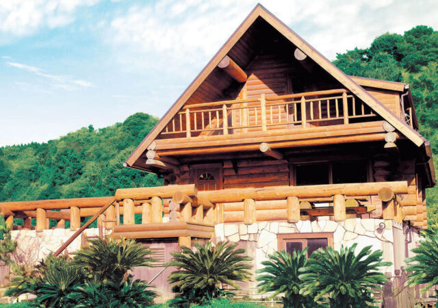 海辺のハンドカットログ