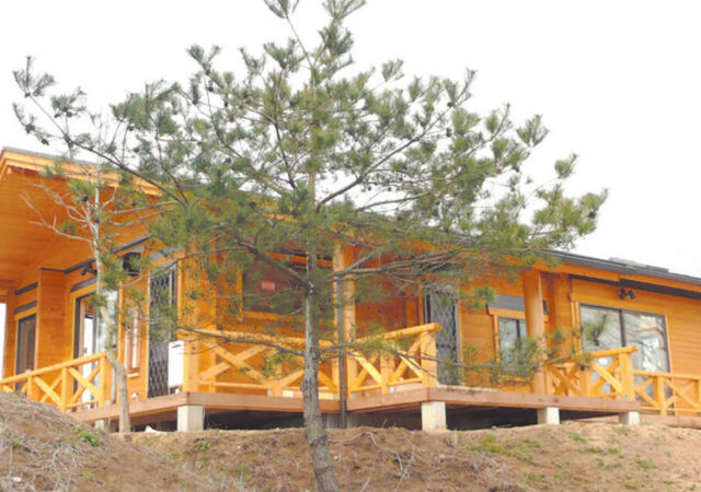 杉材の香りあふれる町屋風の30坪の平屋