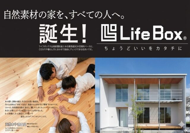 【誕生】Life Box ちょうどいい100プランをご用意！！　地域限定限定