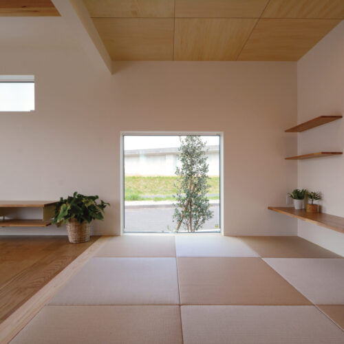 畳部屋のFIX窓が、樹木を額縁のように切り取り、印象的な空間に仕上げています。